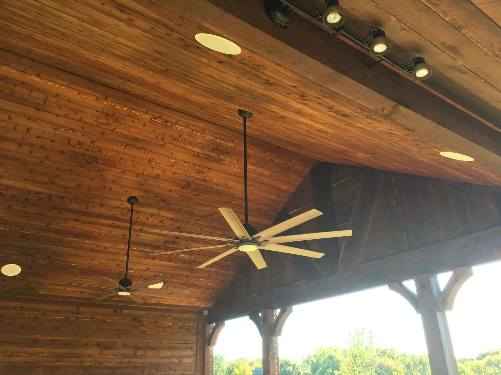 Stained tongue-and-groove patio ceiling with fan and lights